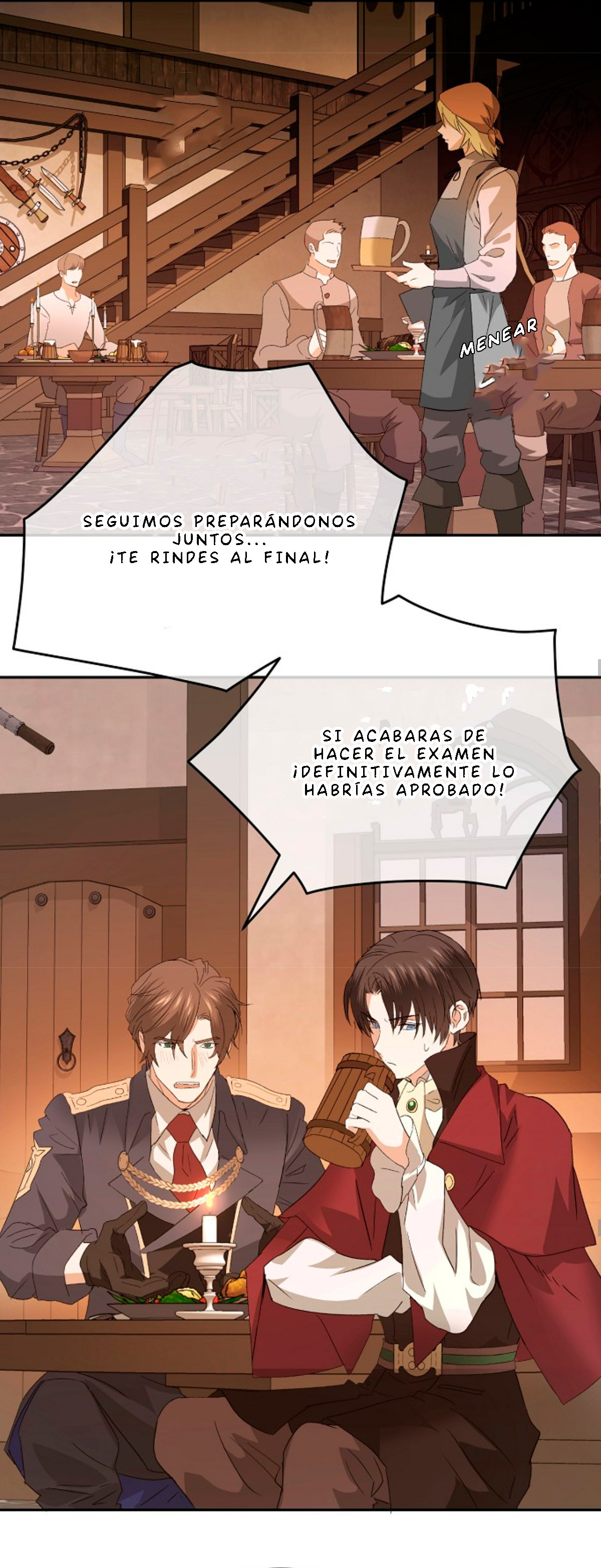 Página 17