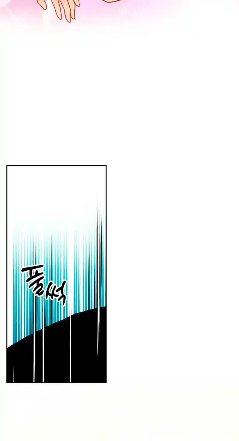 Página 66