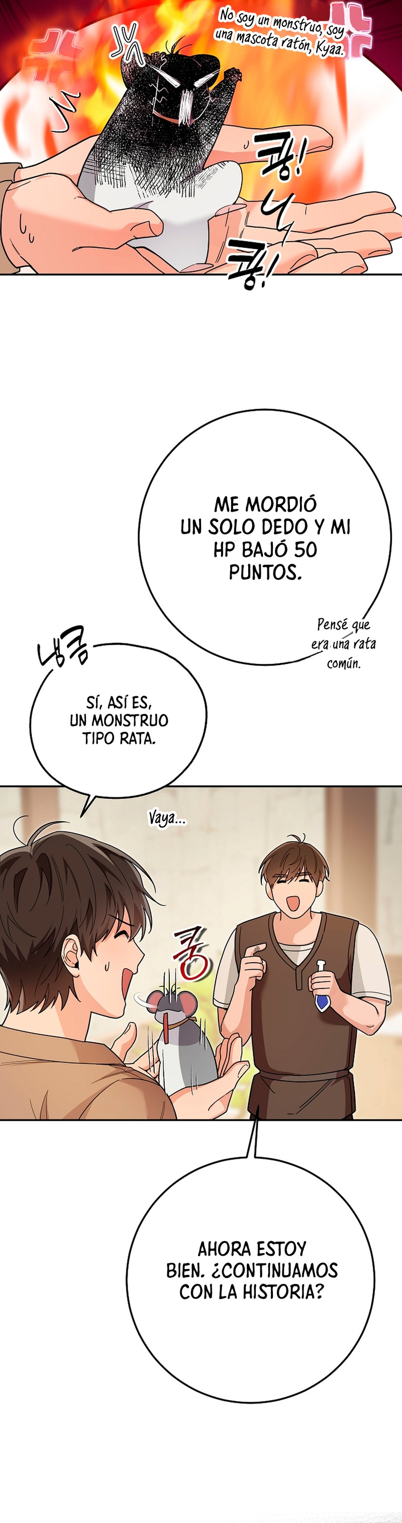 Página 17