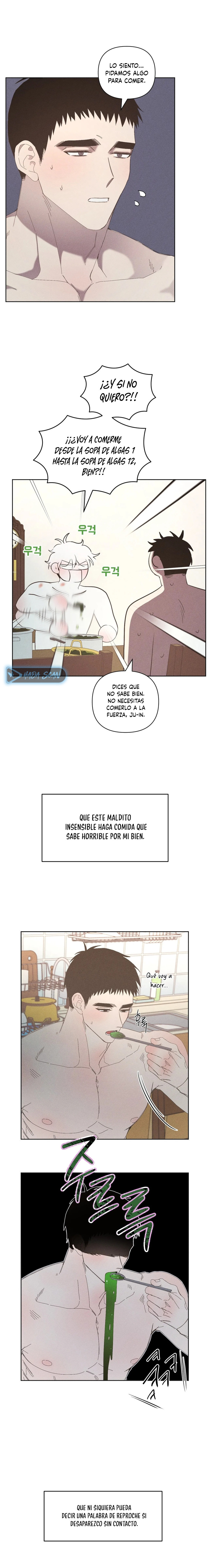 Página 17