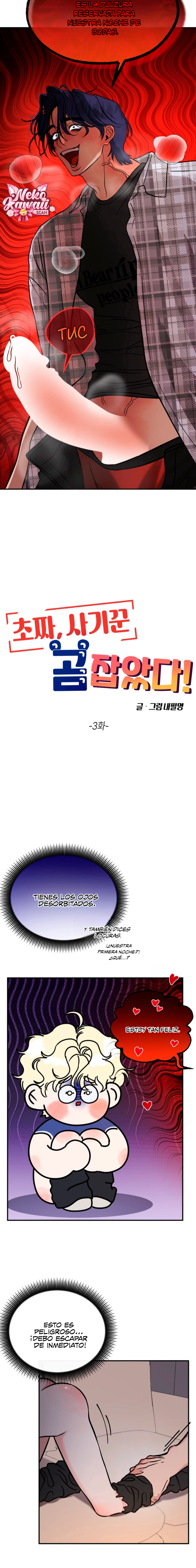 Página 15