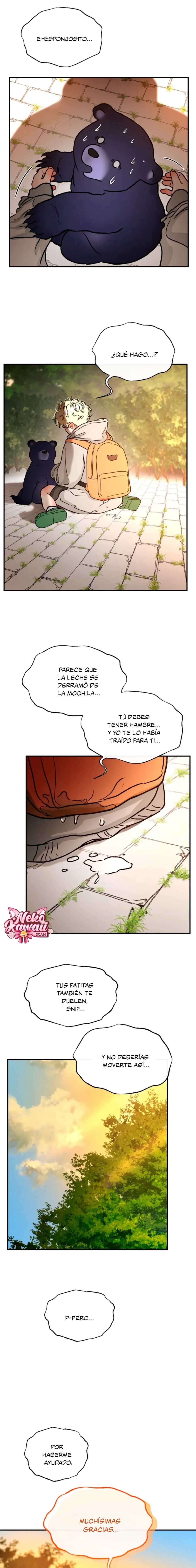 Página 19