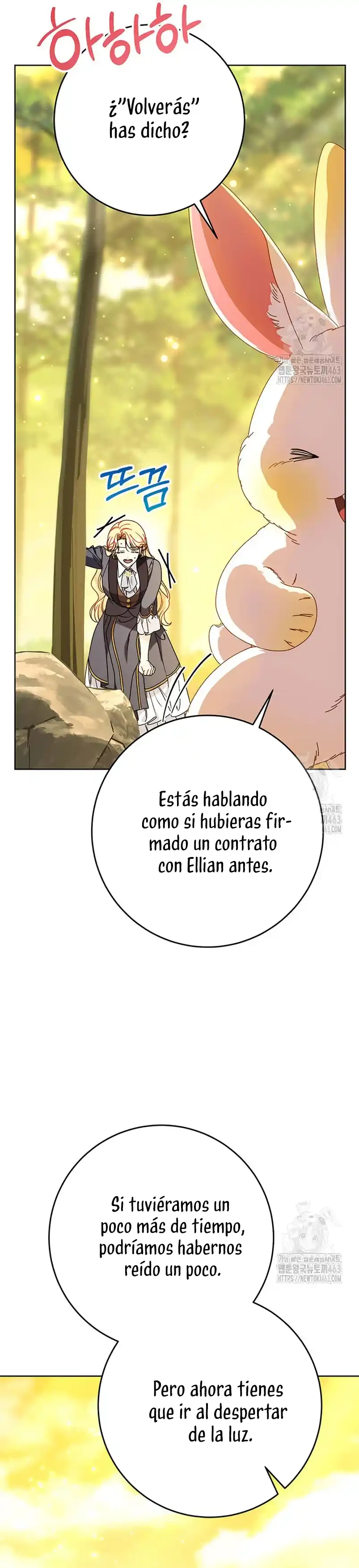 Página 42