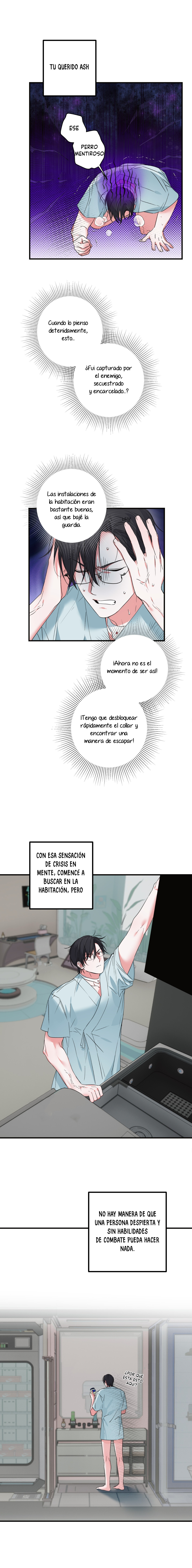 Página 5