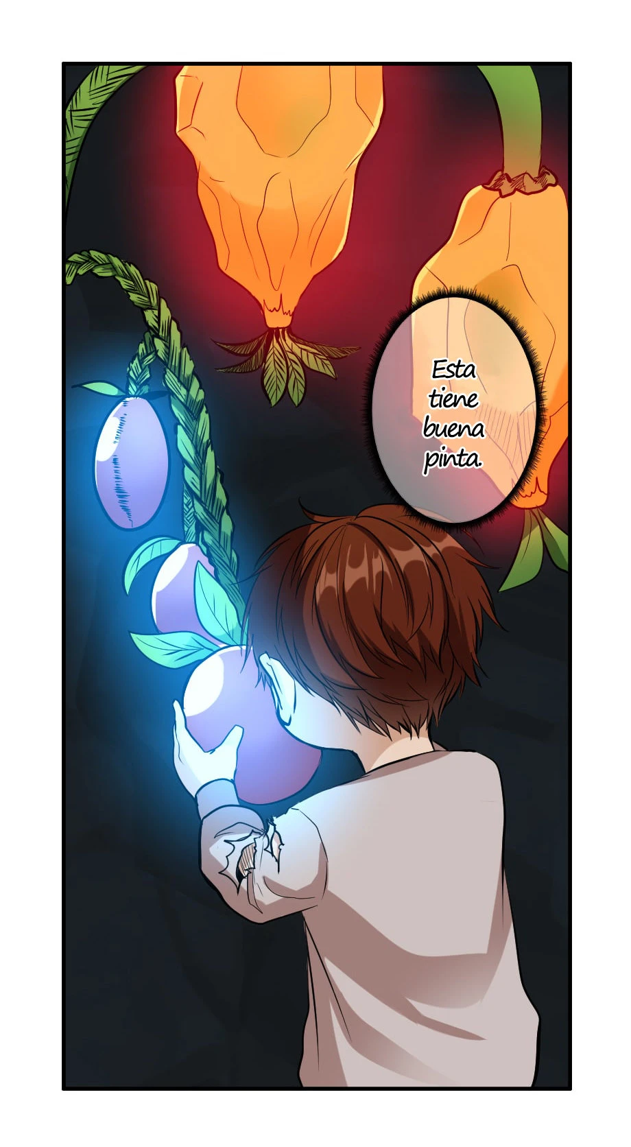 Página 29