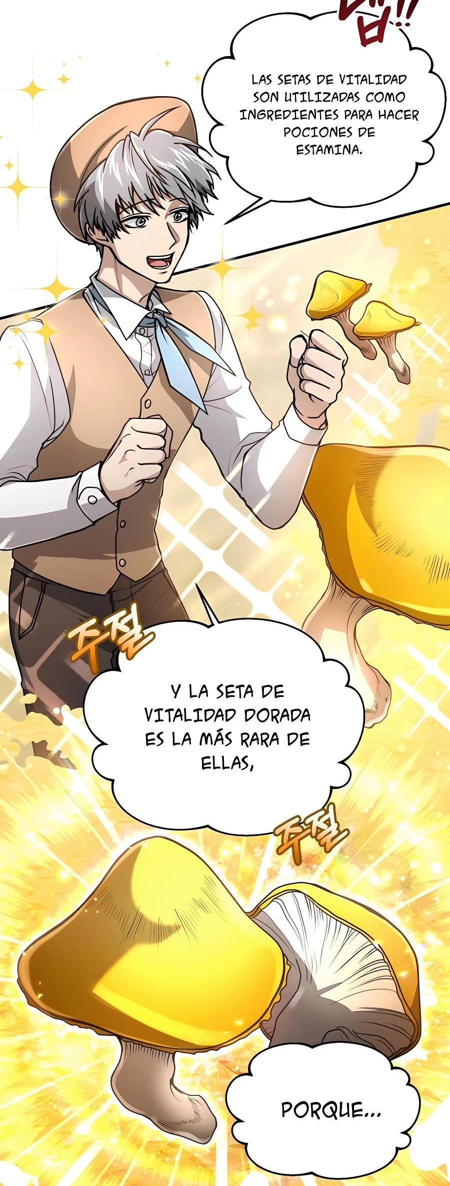 Página 29