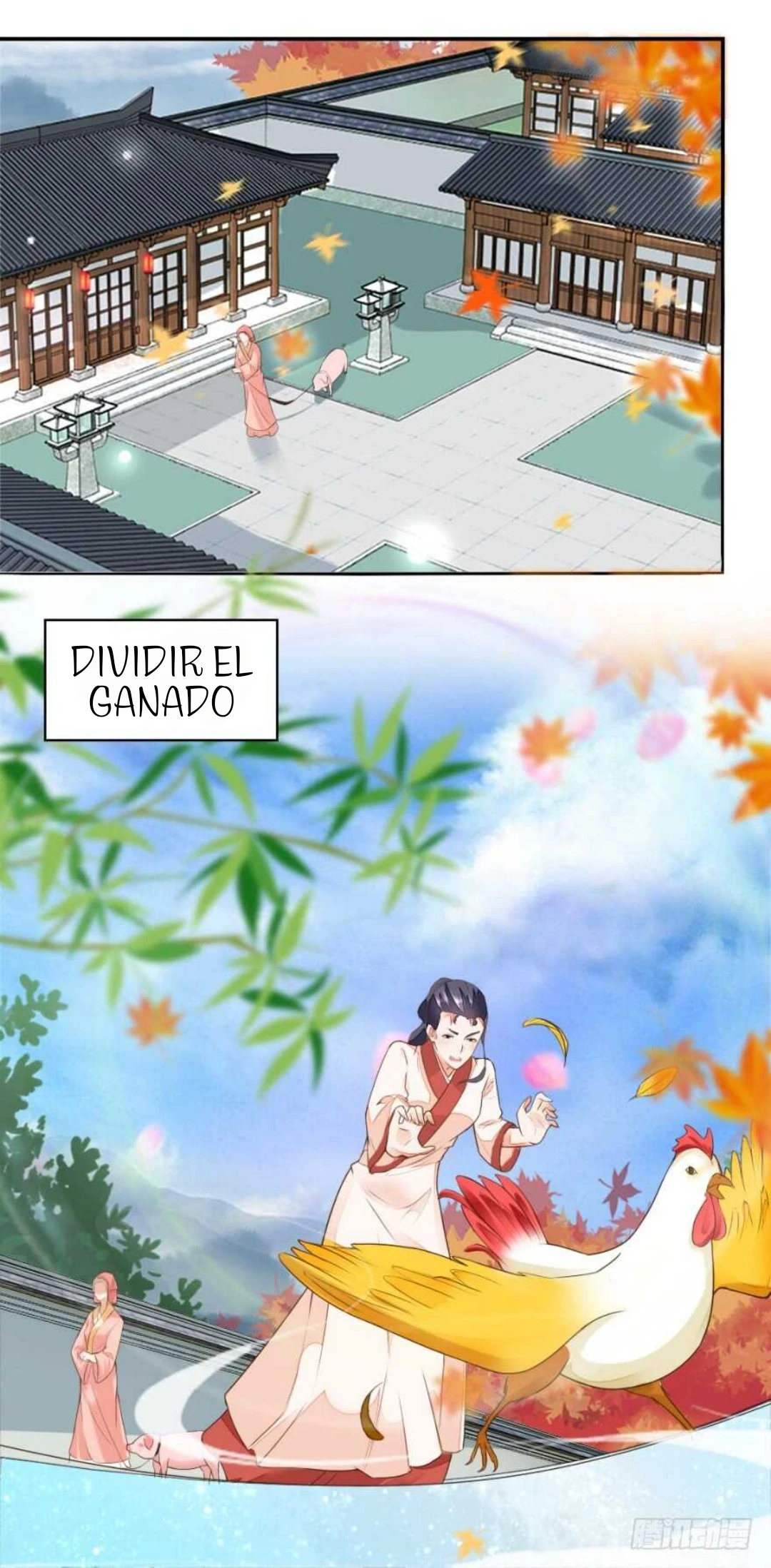 Página 14