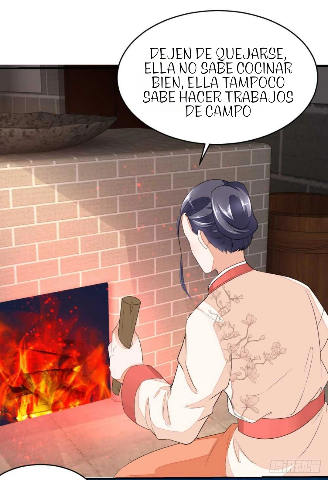Página 17