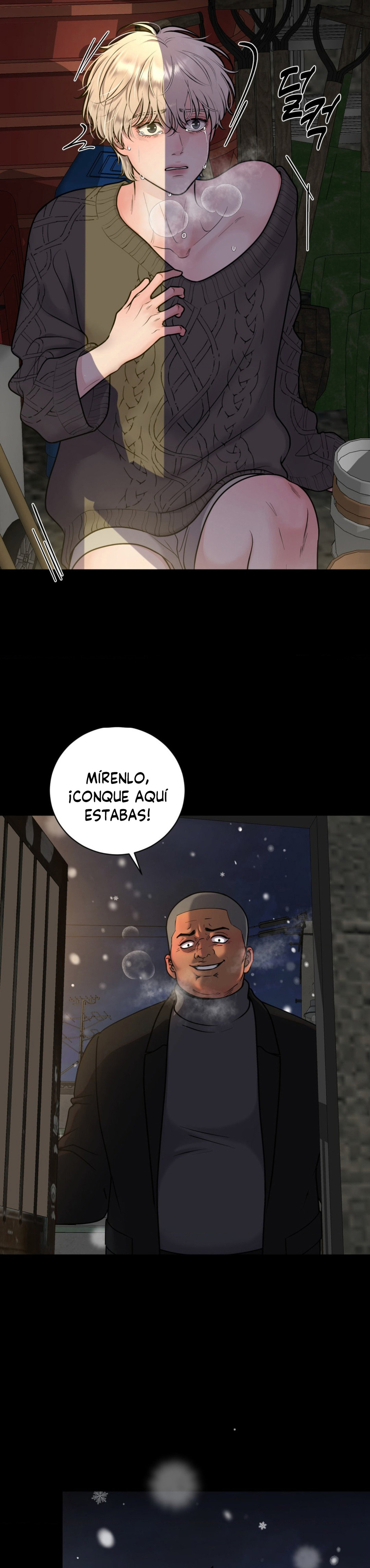Página 5