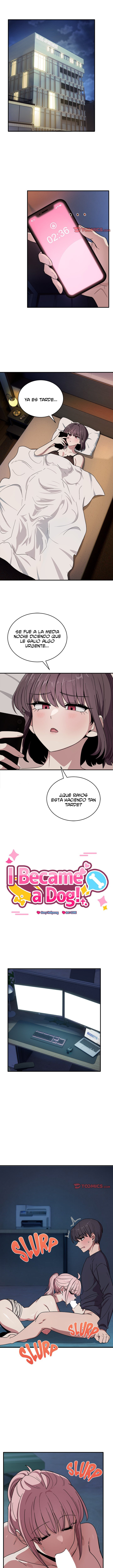 Página 2