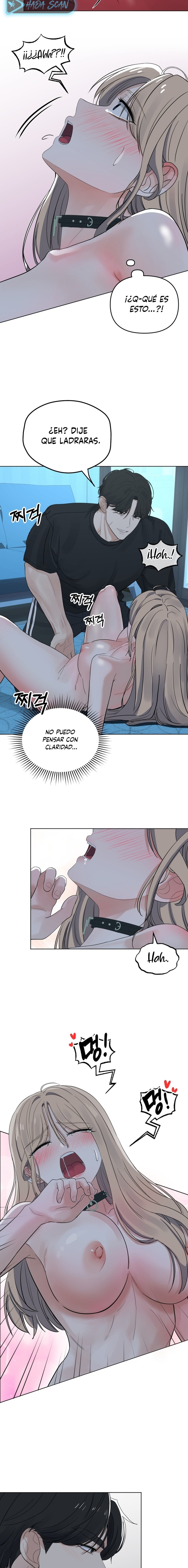 Página 11