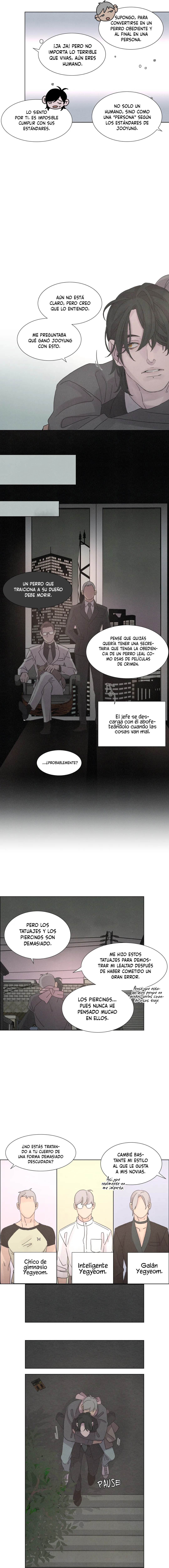 Página 5