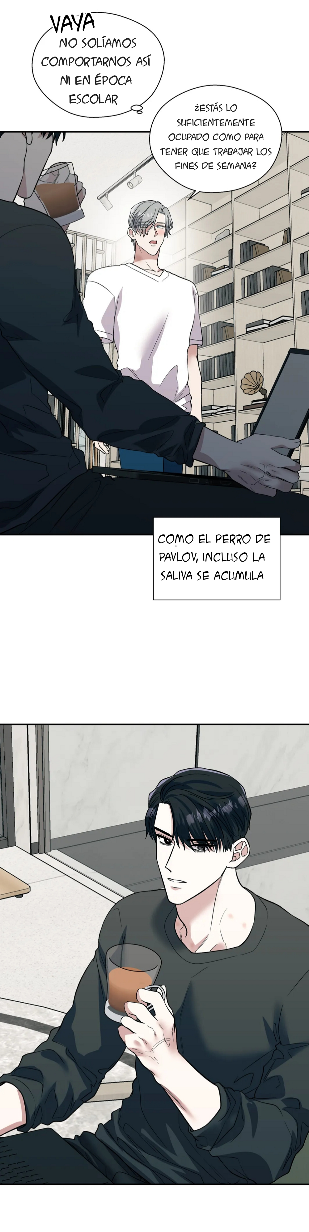 Página 19
