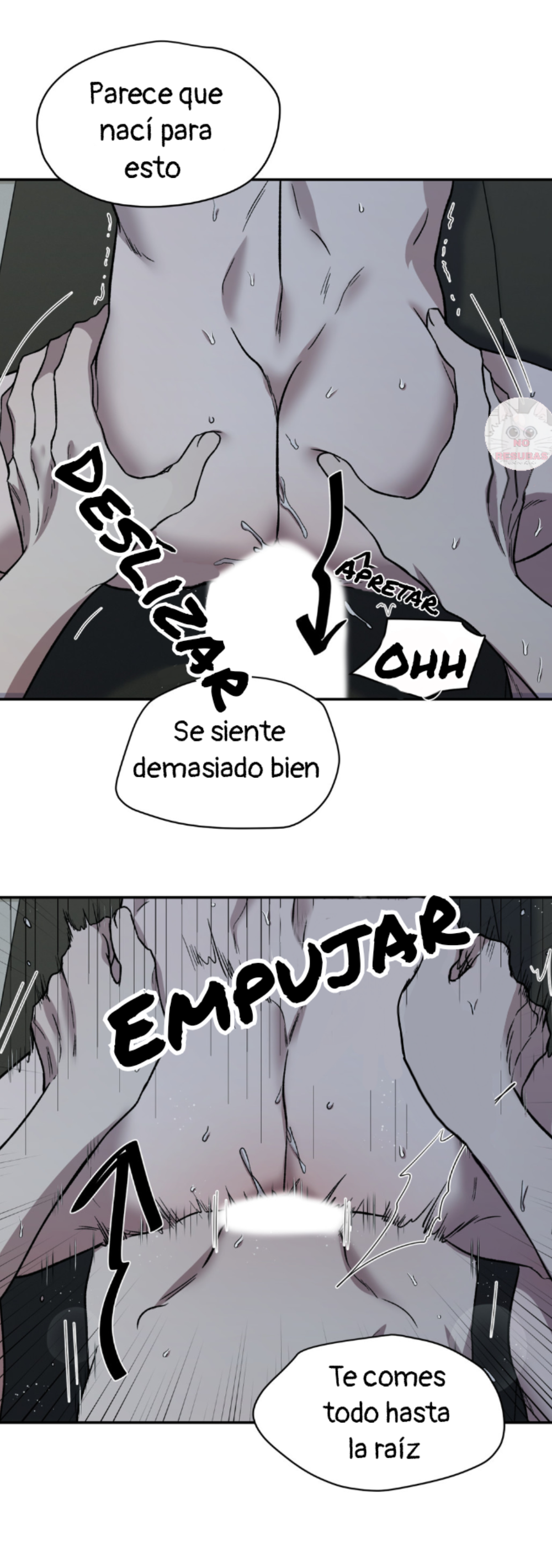 Página 6