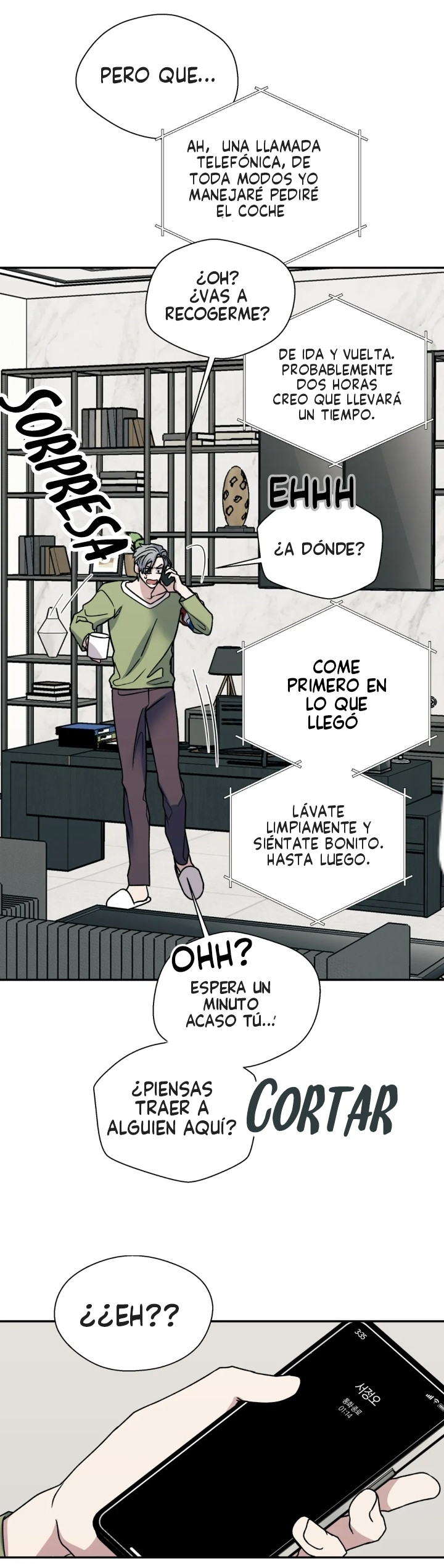 Página 8