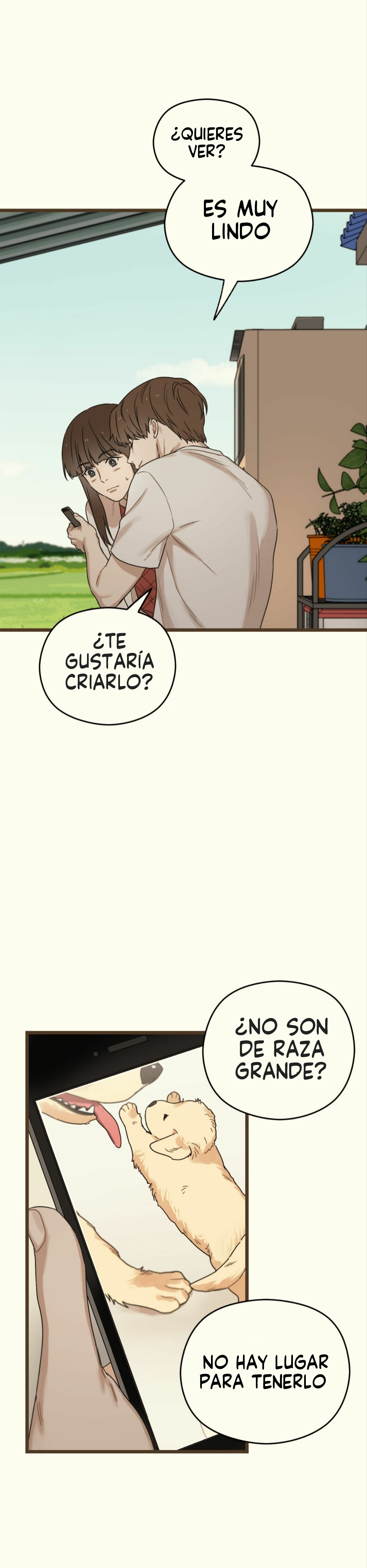 Página 46