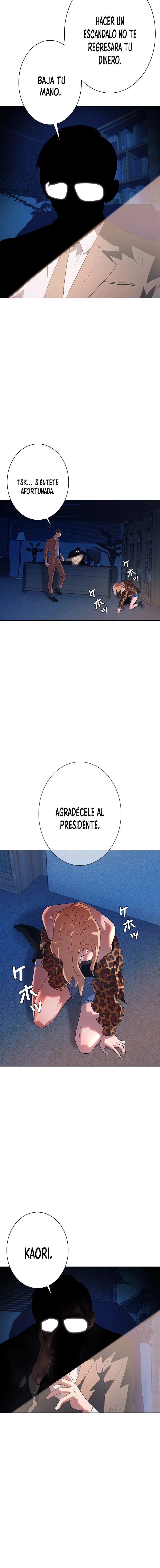 Página 17