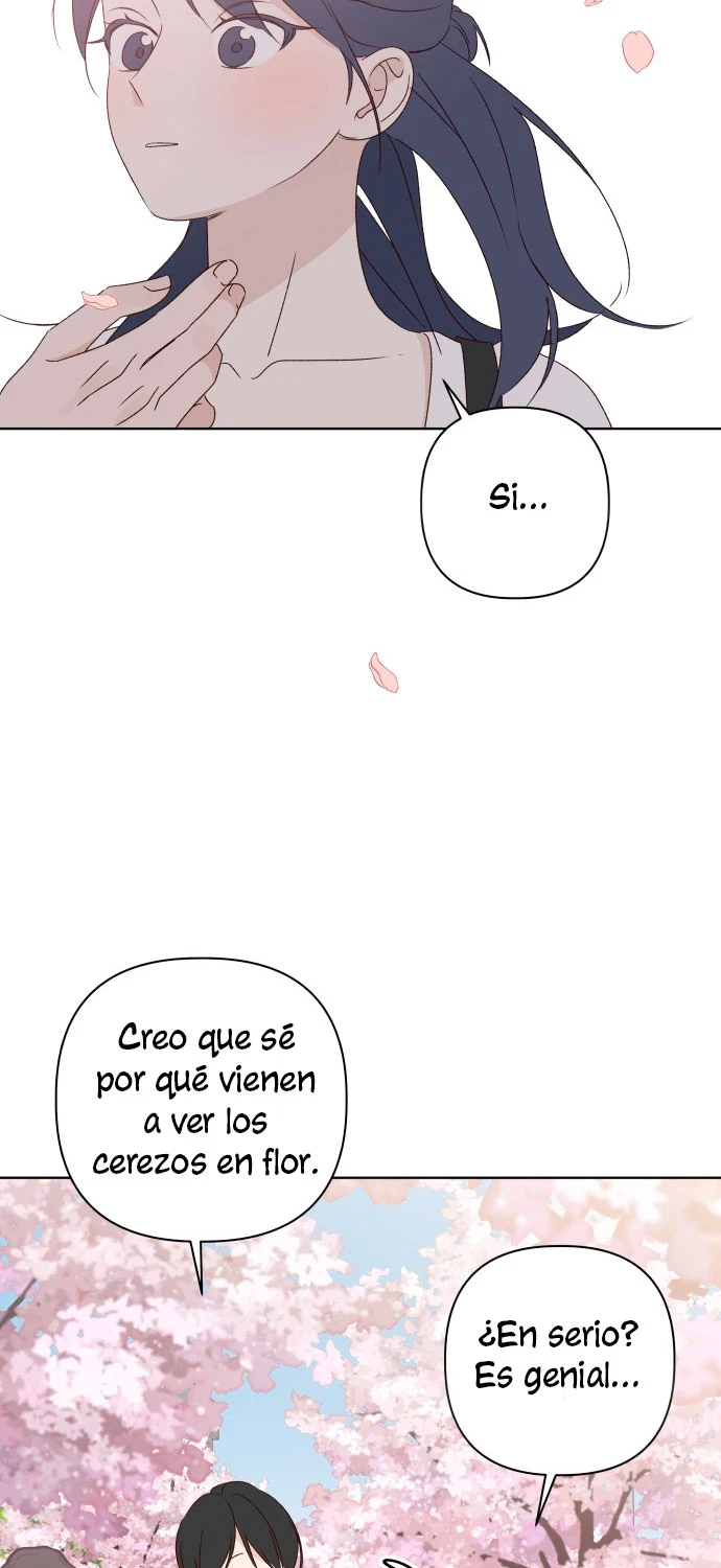 Página 51