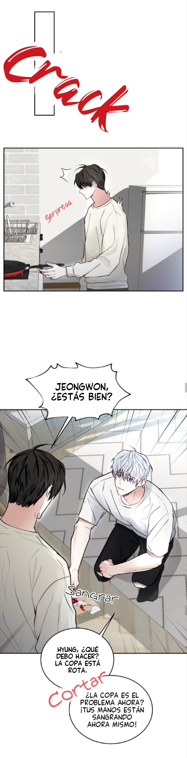 Página 17