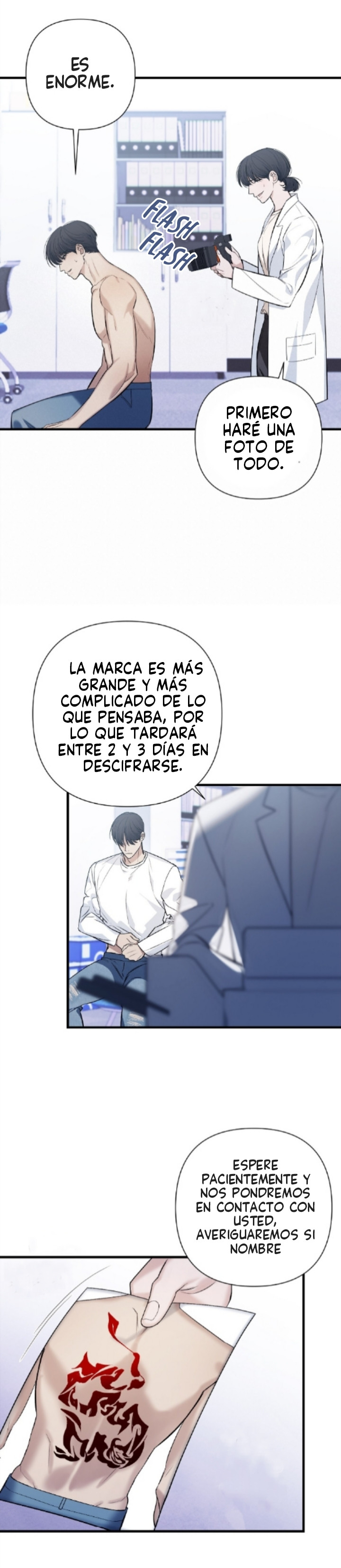 Página 12