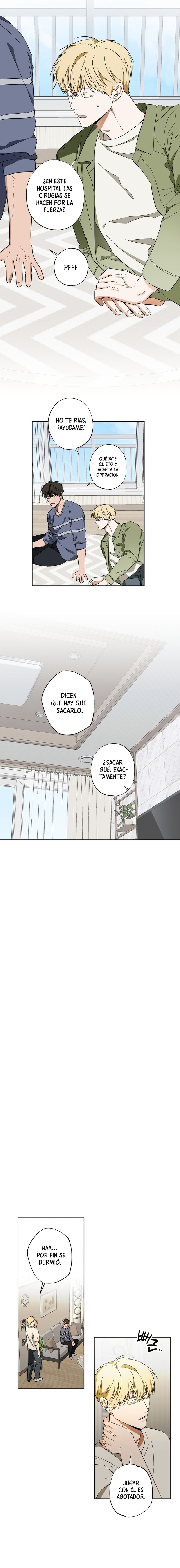 Página 7
