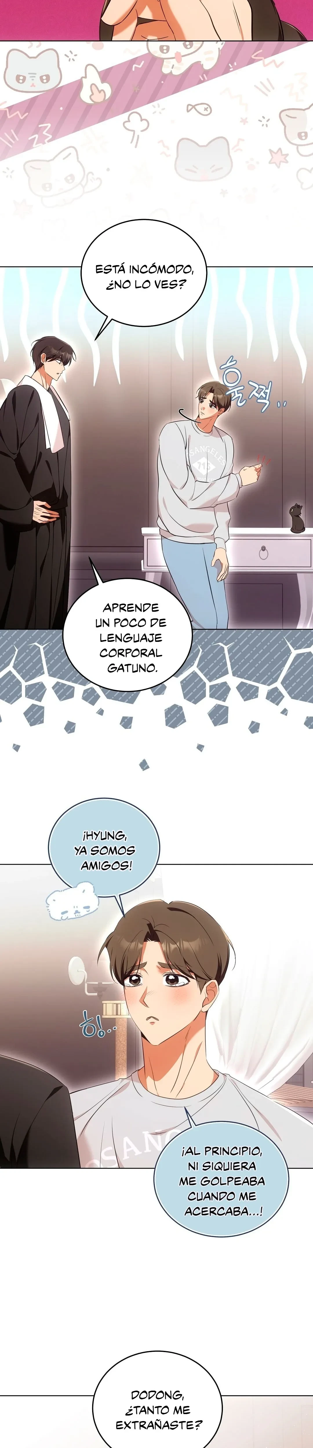 Página 19