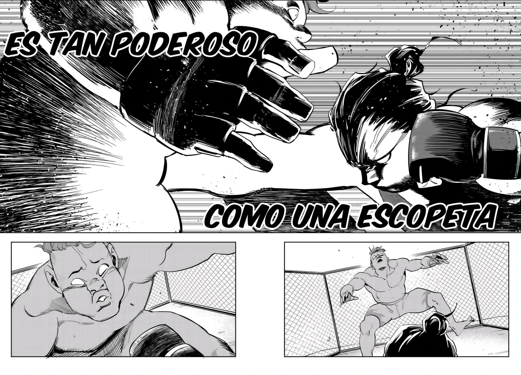 Página 4