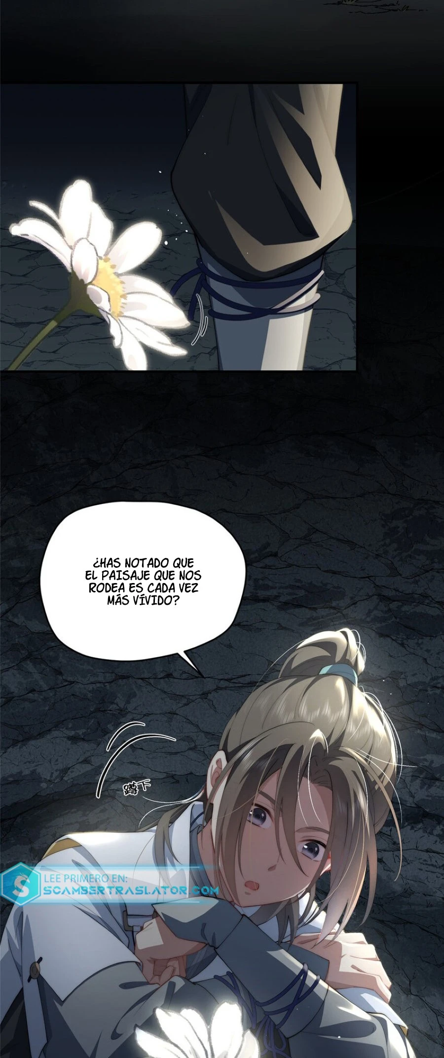 Página 11