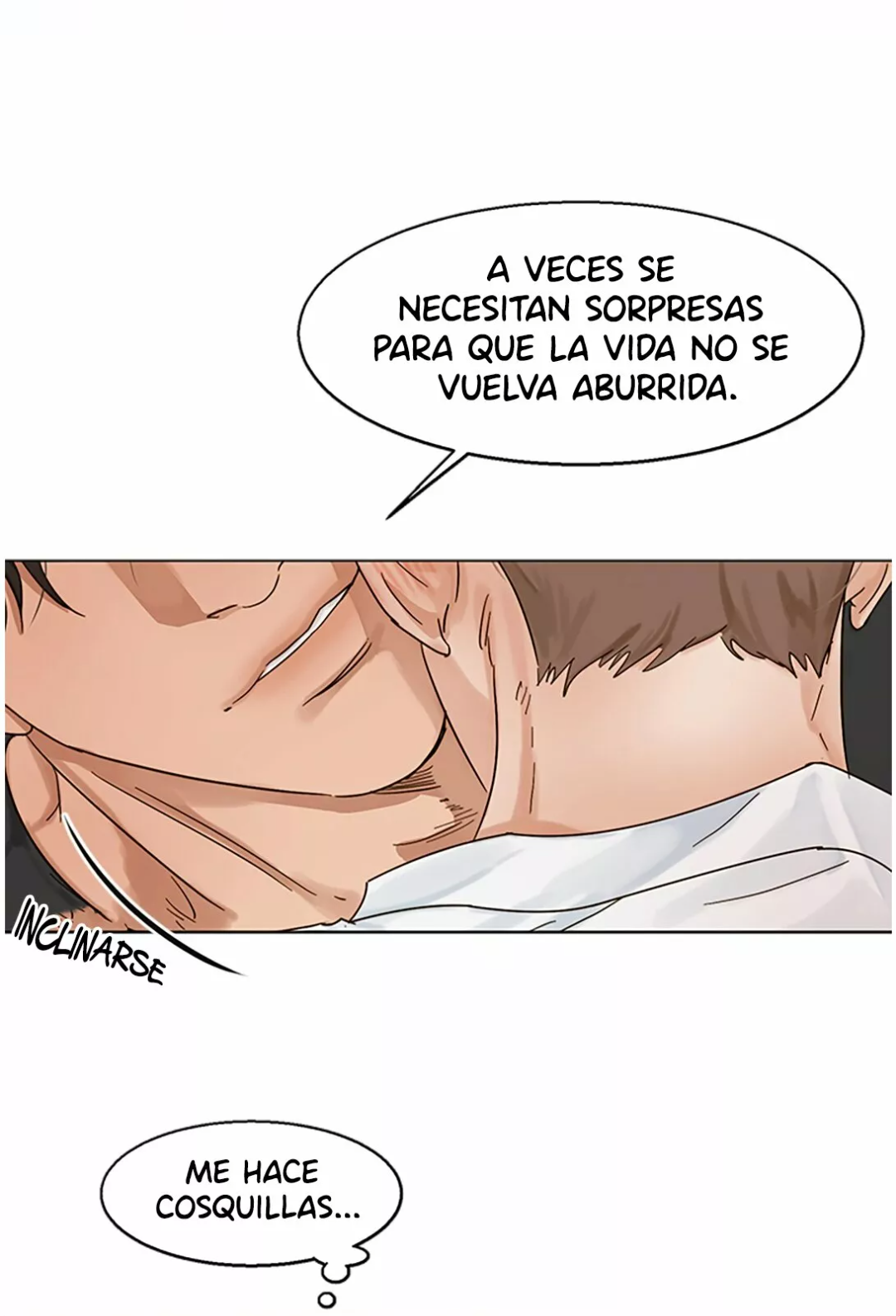 Página 19