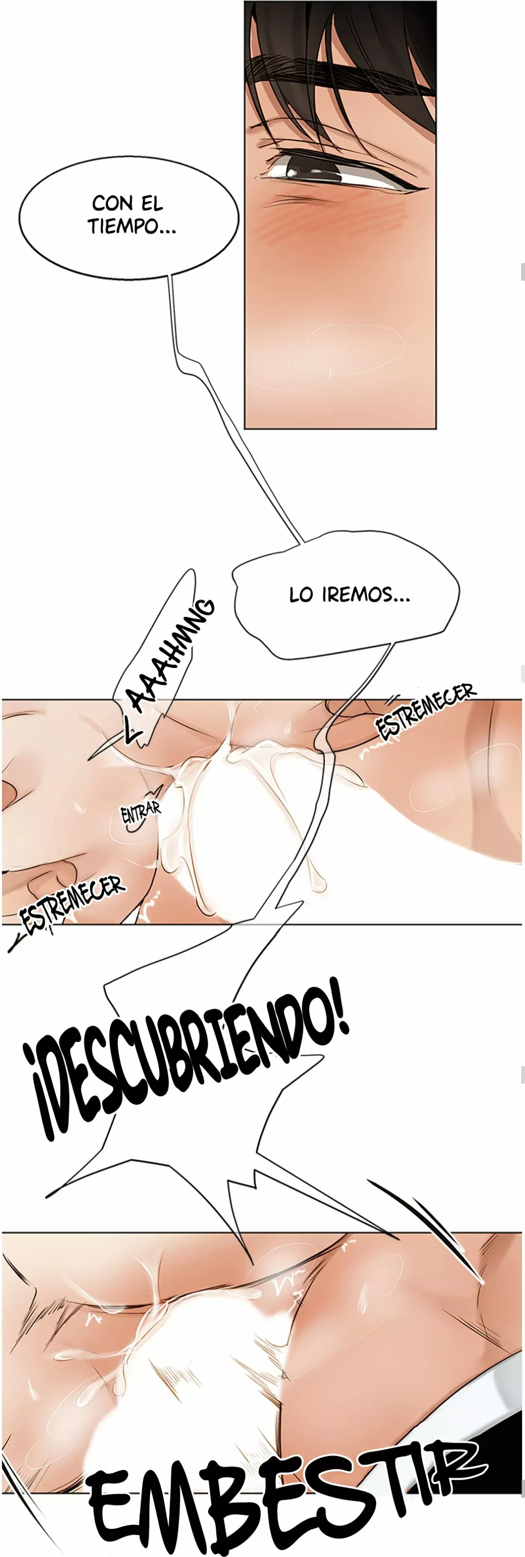 Página 36