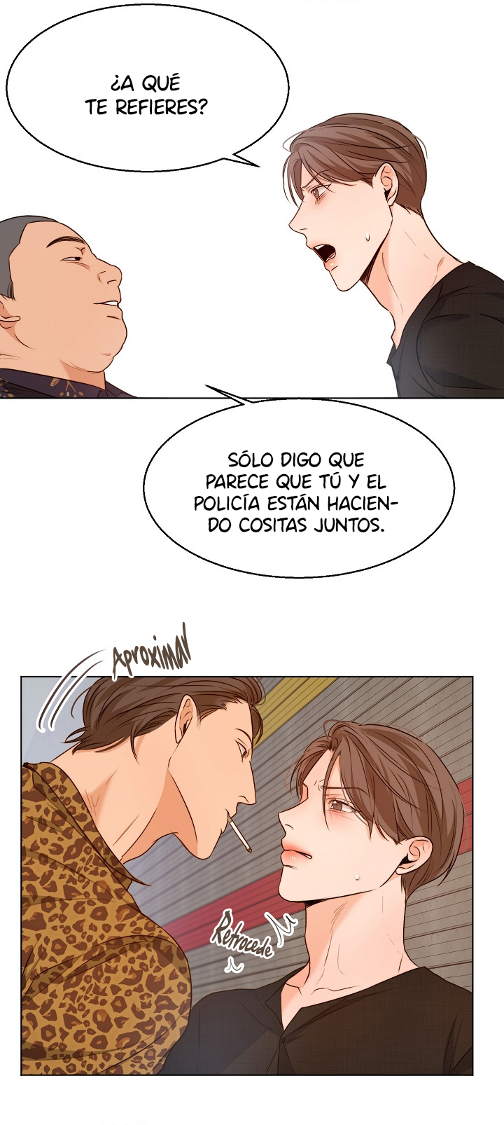 Página 19