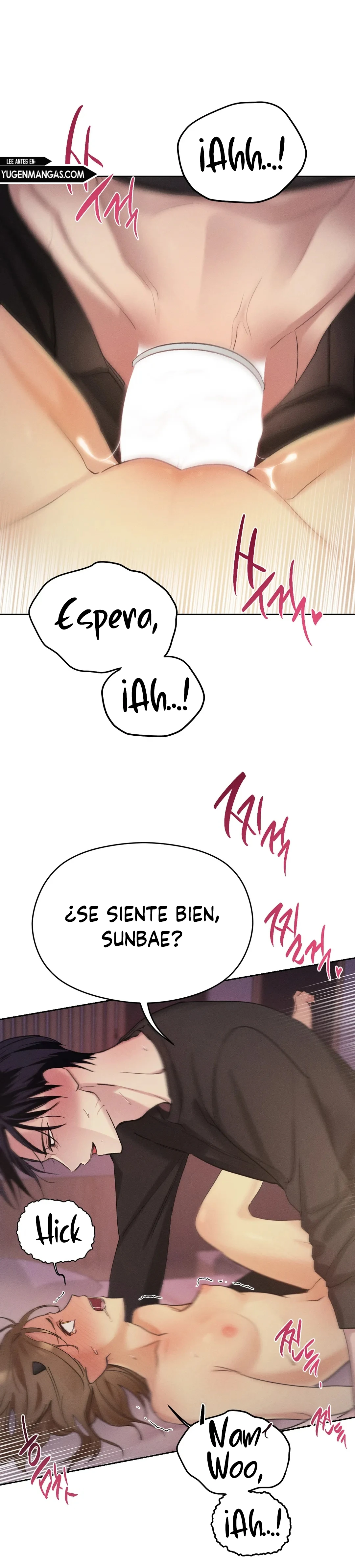 Página 26
