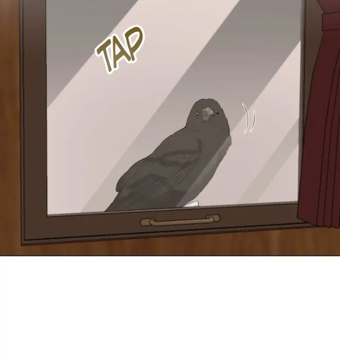 Página 44