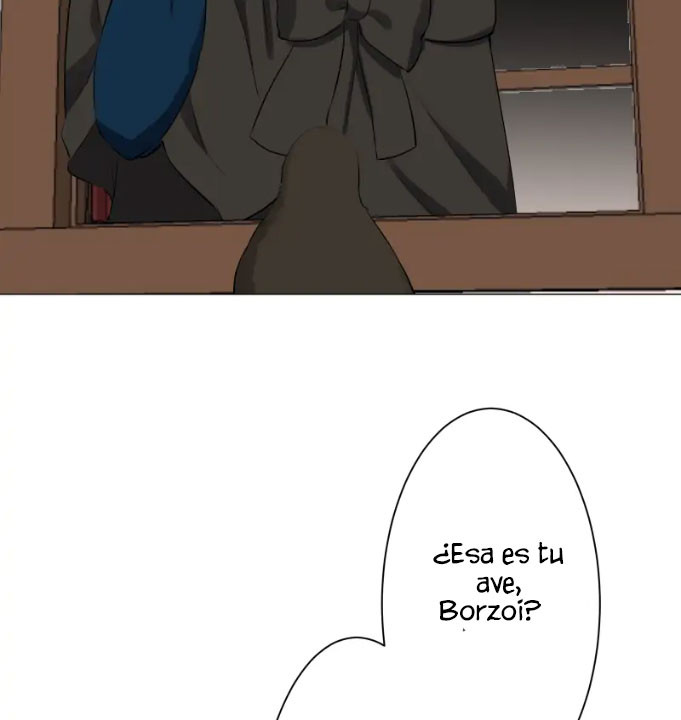 Página 46
