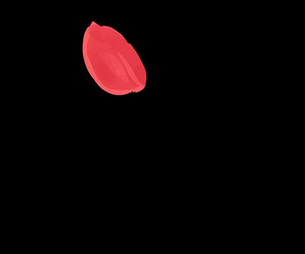 Página 57