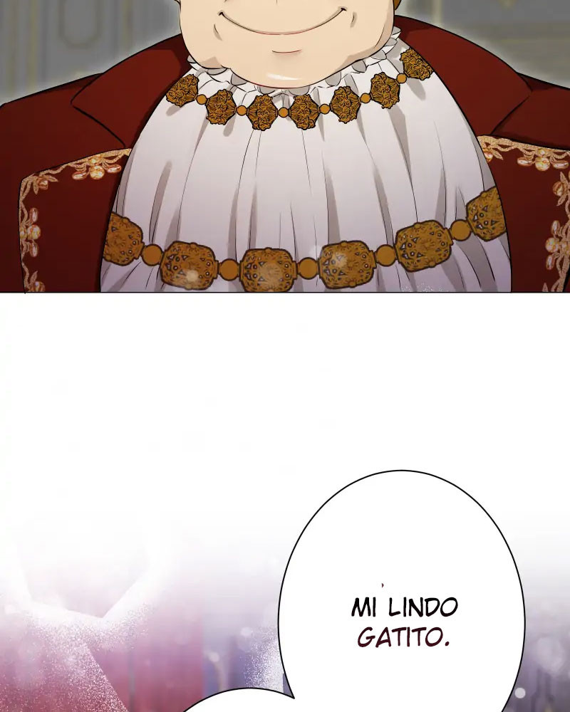 Página 41