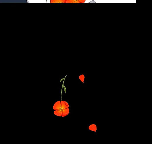 Página 101