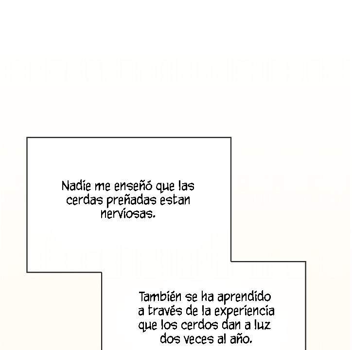 Página 62