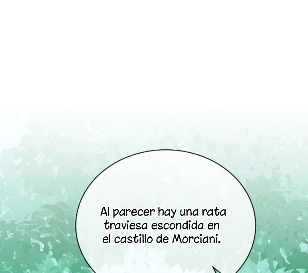Página 66