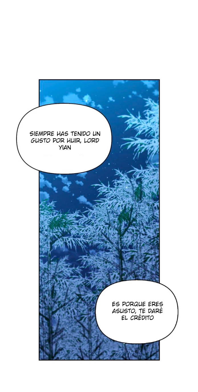 Página 41