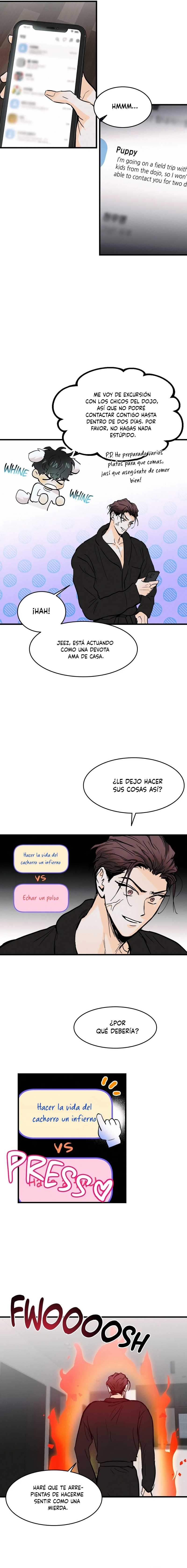 Página 6