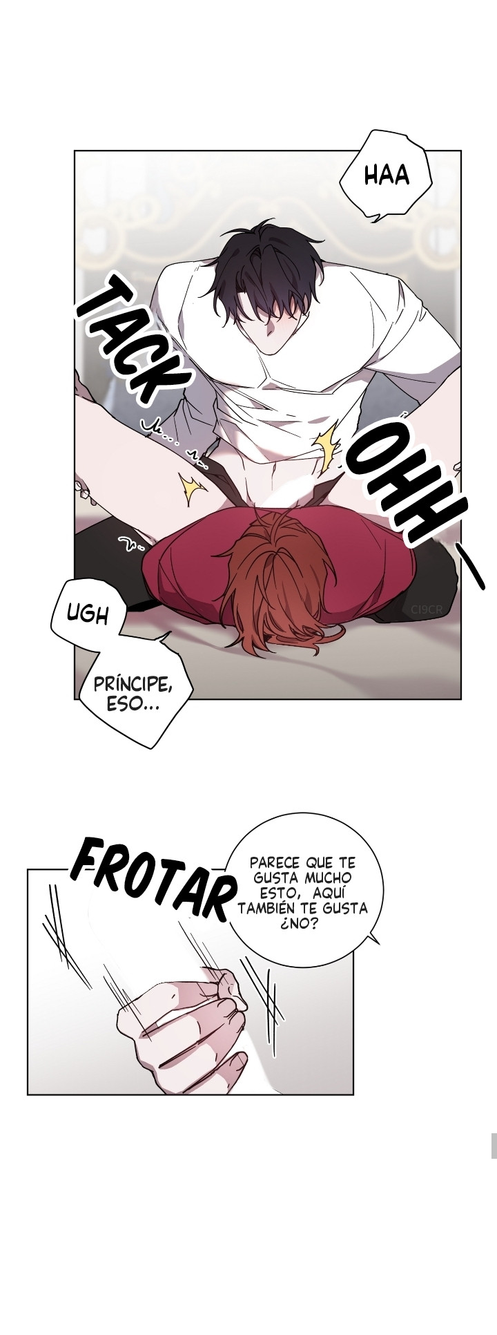Página 17