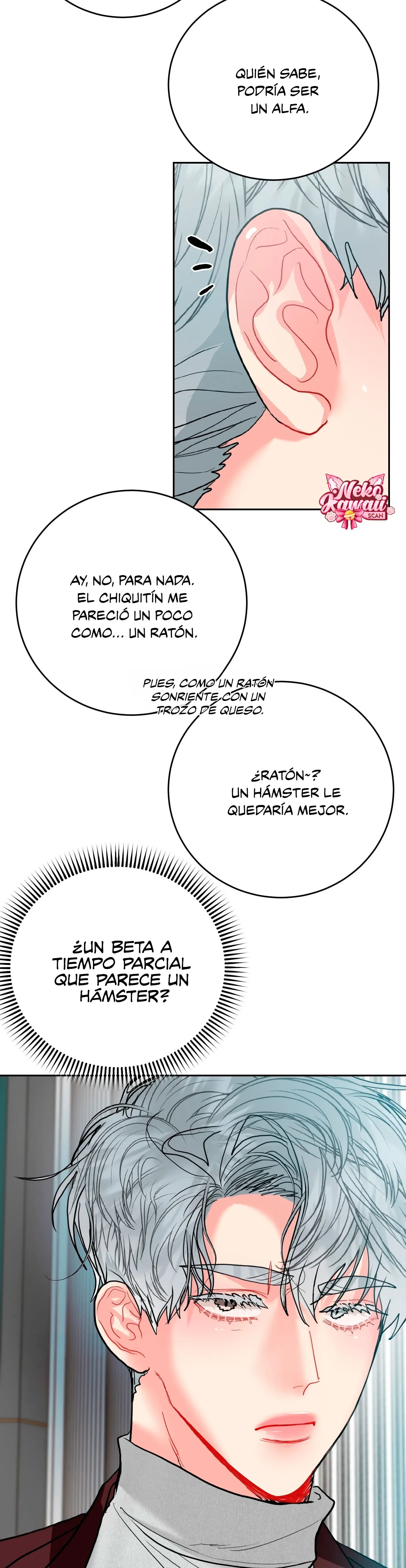 Página 41