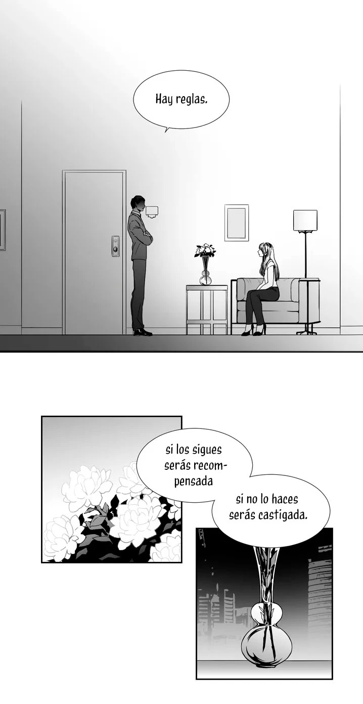 Página 49