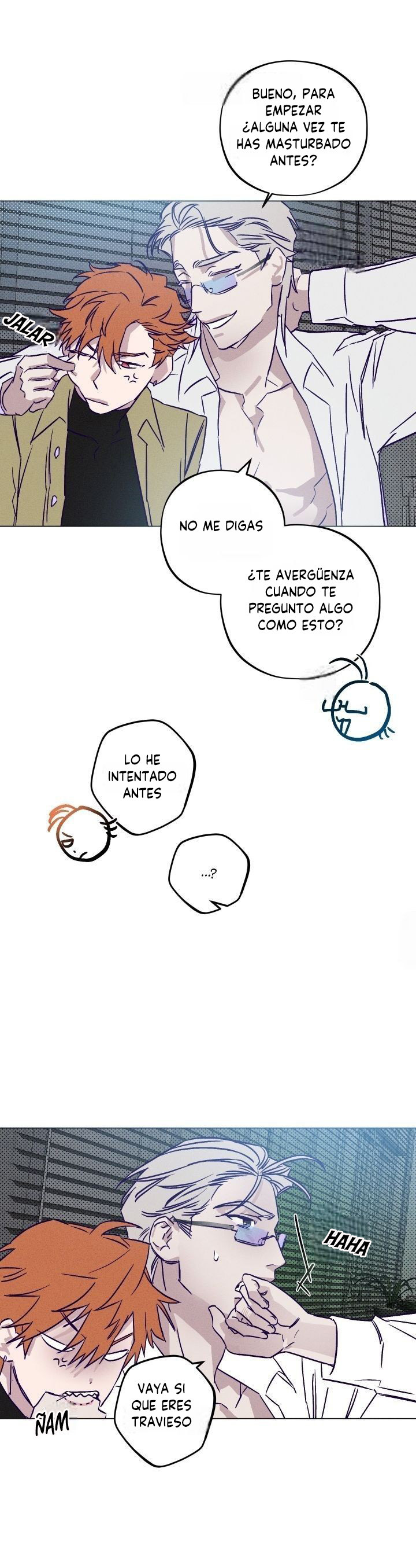 Página 26