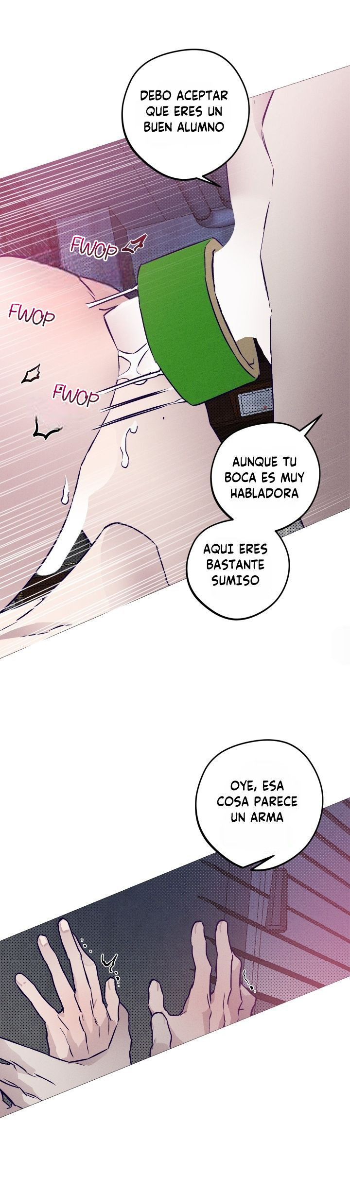 Página 17