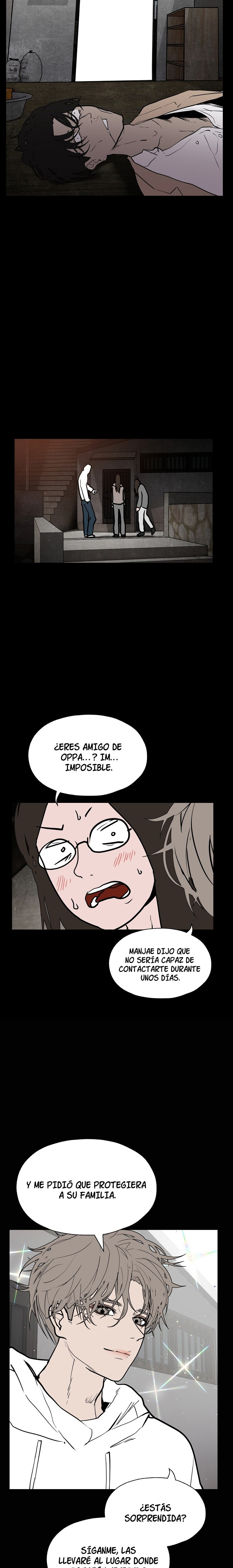 Página 43