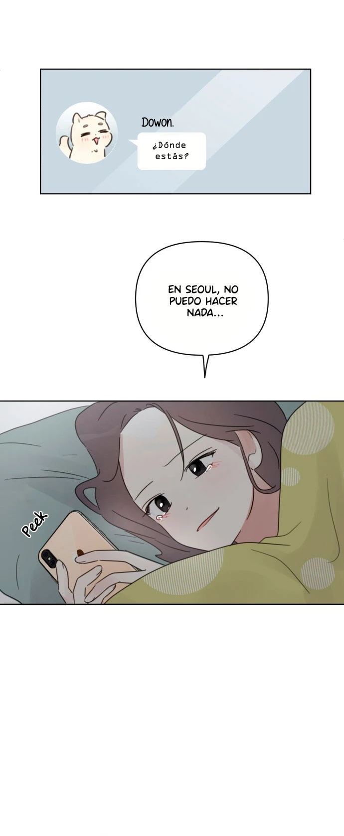 Página 60