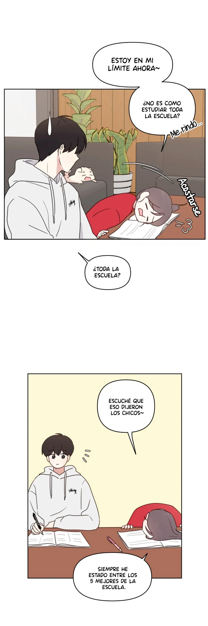 Página 19