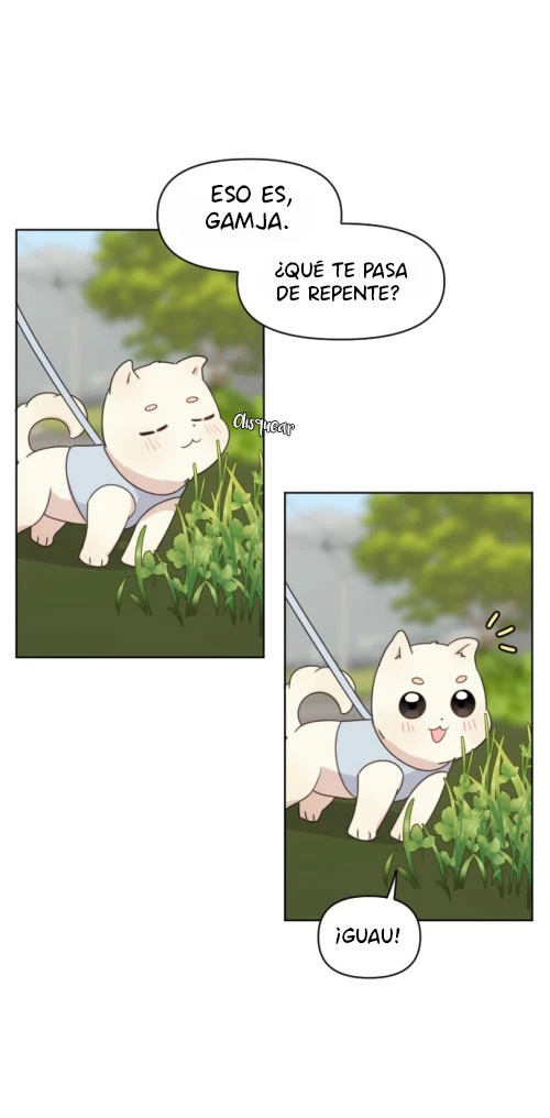 Página 40